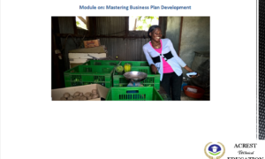 Mastering Business Development Plan