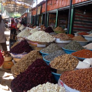 Introduction to Digital Skills